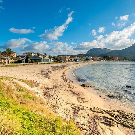 Cormorani - 3 Golfo Aranci