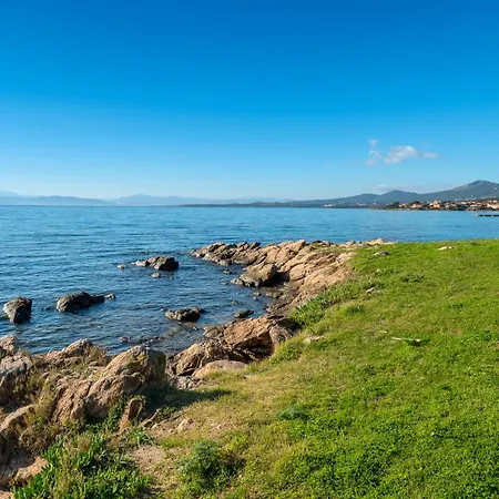 Cormorani - 3 Golfo Aranci